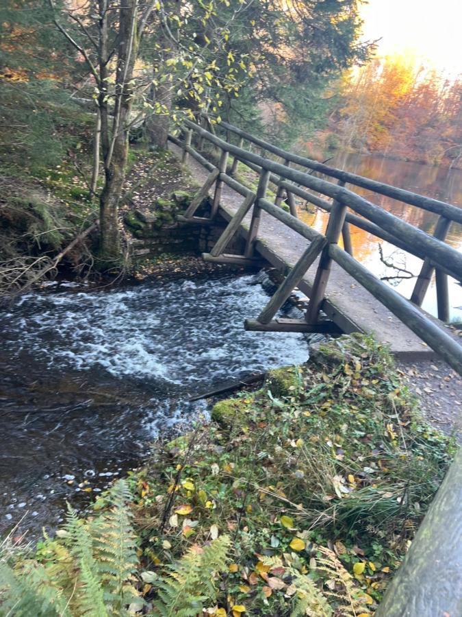 Moderne Und Zentral Gelegene Ferienwohnung In Braunlage Mit Rodelpiste Und Start Ski Langlauf In 300 Metern Entfernung Dış mekan fotoğraf