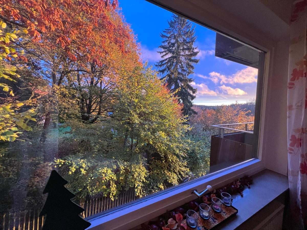 Moderne Und Zentral Gelegene Ferienwohnung In Braunlage Mit Rodelpiste Und Start Ski Langlauf In 300 Metern Entfernung Dış mekan fotoğraf