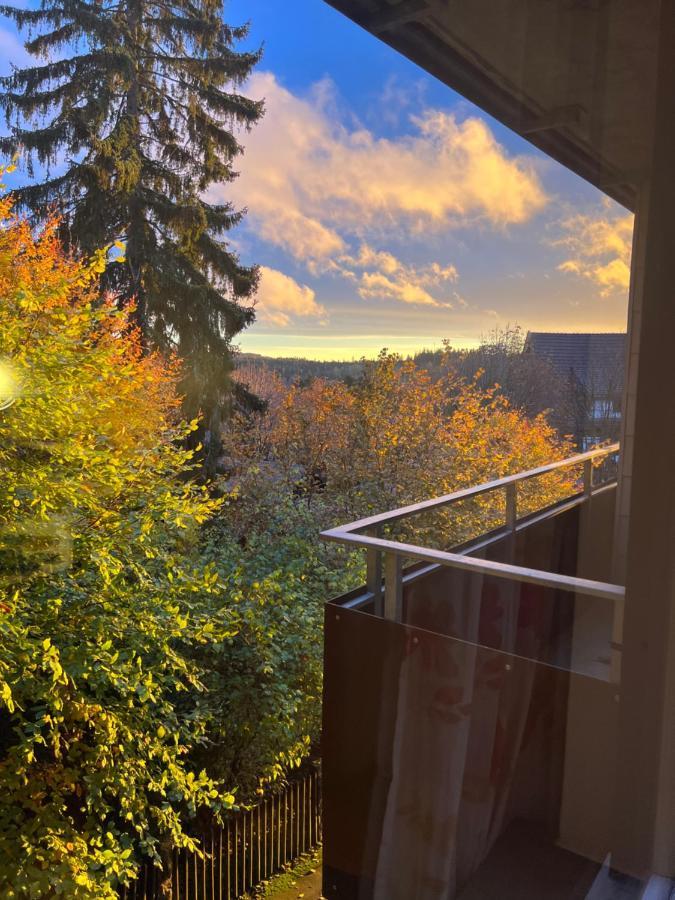 Moderne Und Zentral Gelegene Ferienwohnung In Braunlage Mit Rodelpiste Und Start Ski Langlauf In 300 Metern Entfernung Dış mekan fotoğraf