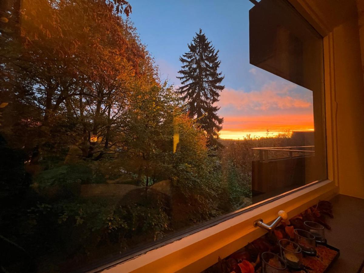 Moderne Und Zentral Gelegene Ferienwohnung In Braunlage Mit Rodelpiste Und Start Ski Langlauf In 300 Metern Entfernung Dış mekan fotoğraf